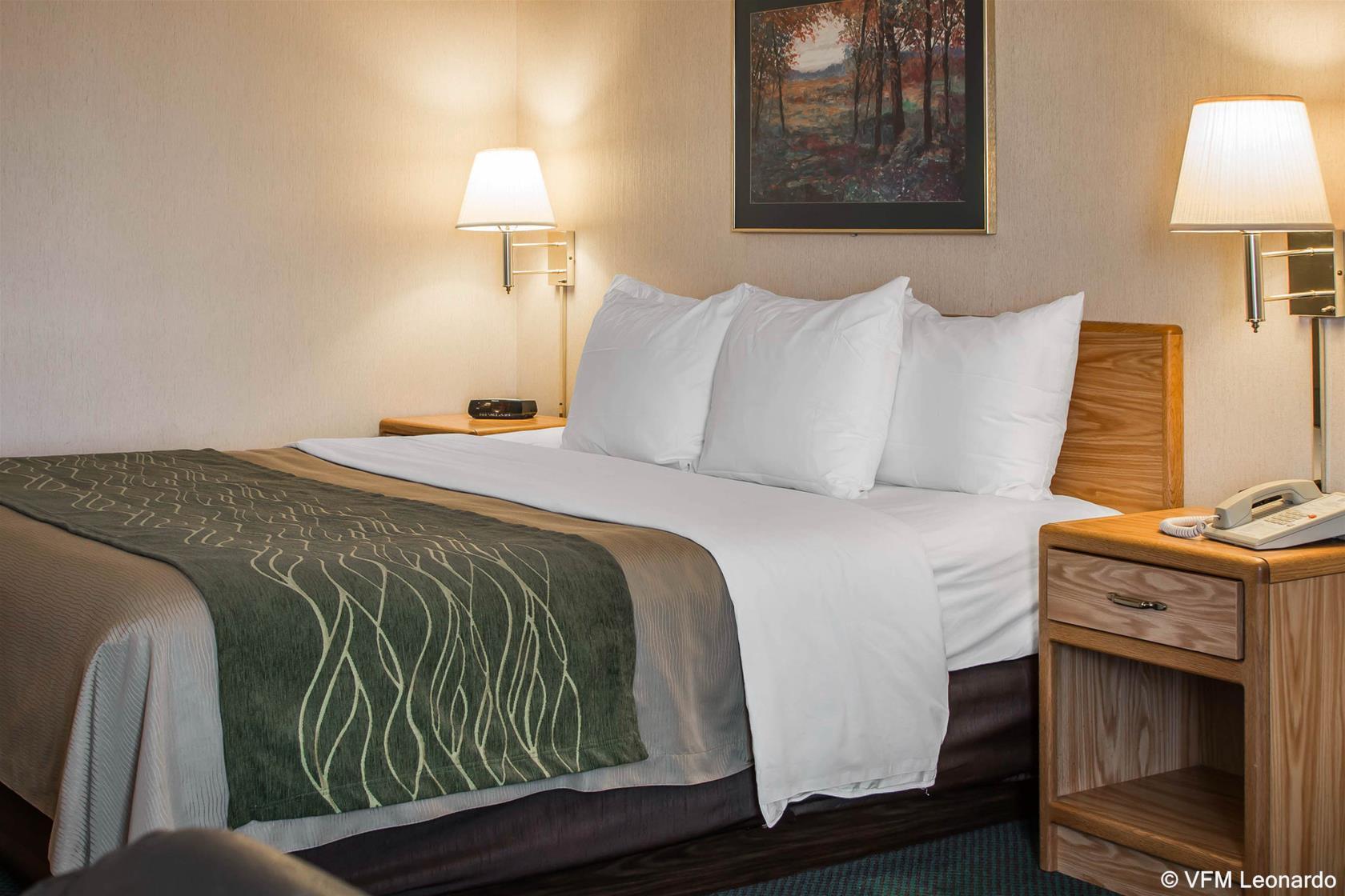 Comfort Inn Charlotte Dış mekan fotoğraf